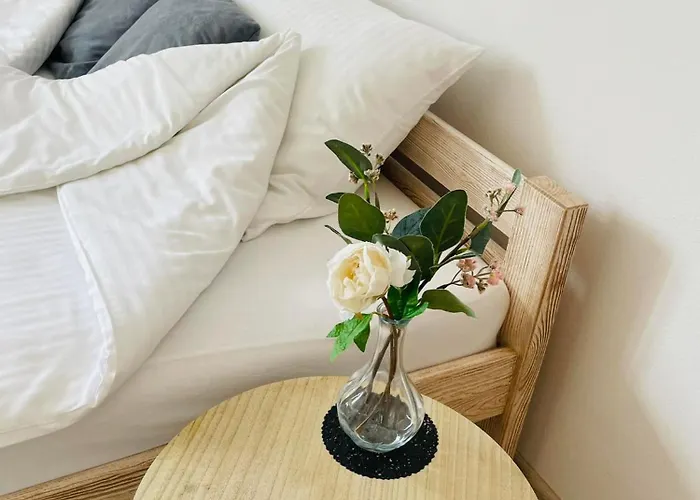 Land House 民宿 扎托尔