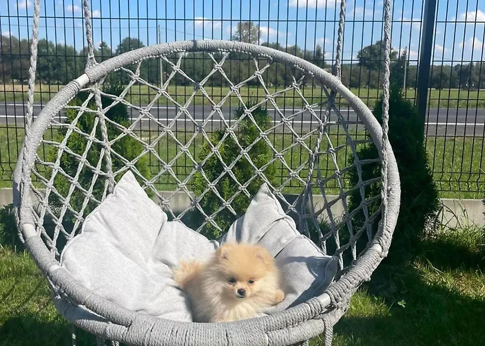 Privatunterkunft Land House Zator